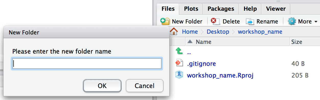 RStudio interface